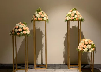 Anniversary celebration at IRA